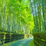 【京都の散歩道】散策するならここ！定番、嵐山！