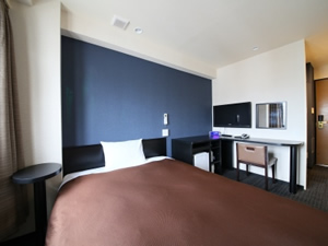 Plemium double room